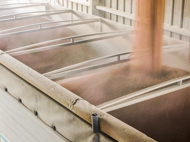 DJI_20260320101832_0417_D copy