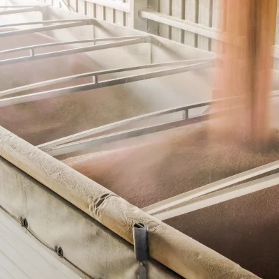 DJI_20260320101832_0417_D copy